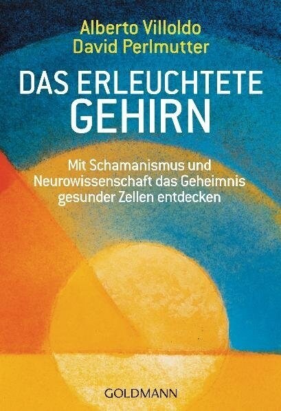 Das erleuchtete Gehirn (Paperback)