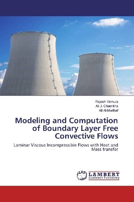 Modeling and Computation of Boundary Layer Free Convective Flows (Paperback)