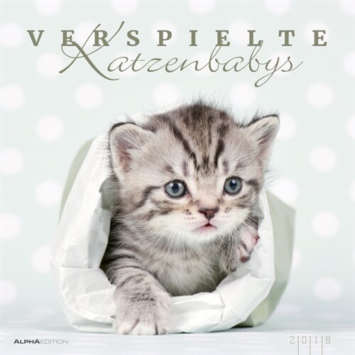 Verspielte Katzenbabys 2018 (Calendar)