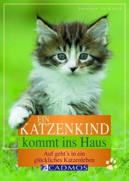 Ein Katzenkind kommt ins Haus (Paperback)