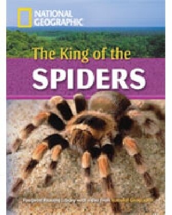 The King of the Spiders, with Multi-ROM (Paperback)