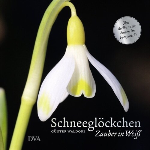 Schneeglockchen (Hardcover)