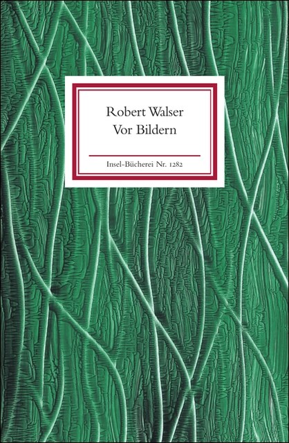 Vor Bildern (Hardcover)