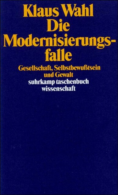 Die Modernisierungsfalle (Paperback)