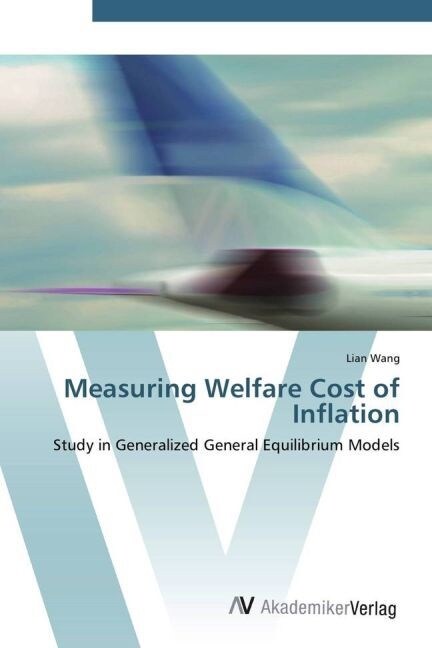 Measuring Welfare Cost of Inflation (Paperback)