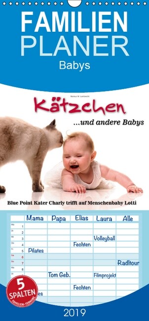 Katzchen und andere Babys - Familienplaner hoch (Wandkalender 2019 , 21 cm x 45 cm, hoch) (Calendar)