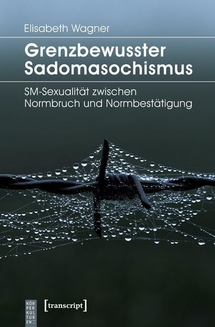 Grenzbewusster Sadomasochismus (Paperback)