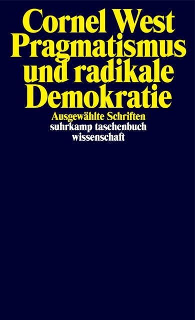 Pragmatismus und radikale Demokratie (Paperback)