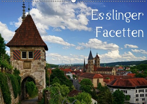 Esslinger Facetten (Wandkalender 2019 DIN A2 quer) (Calendar)