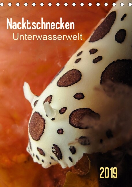 Nacktschnecken - Unterwasserwelt 2019 (Tischkalender 2019 DIN A5 hoch) (Calendar)