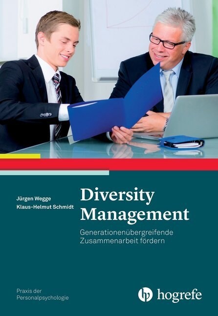 Diversity Management (Paperback)