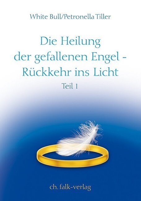 Die Heilung der gefallenen Engel - Ruckkehr ins Licht. Tl.1 (Paperback)