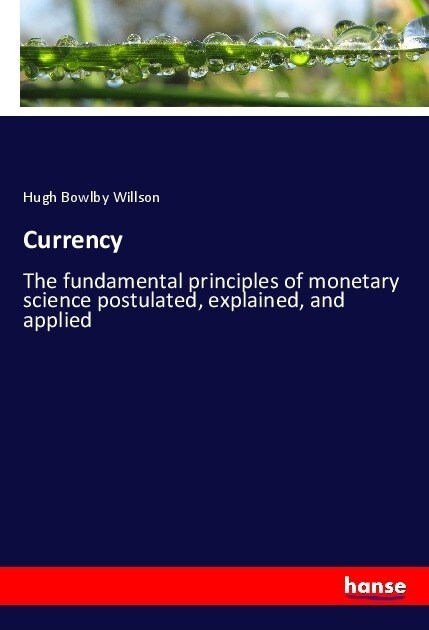 Currency: The fundamental principles of monetary science postulated, explained, and applied (Paperback)