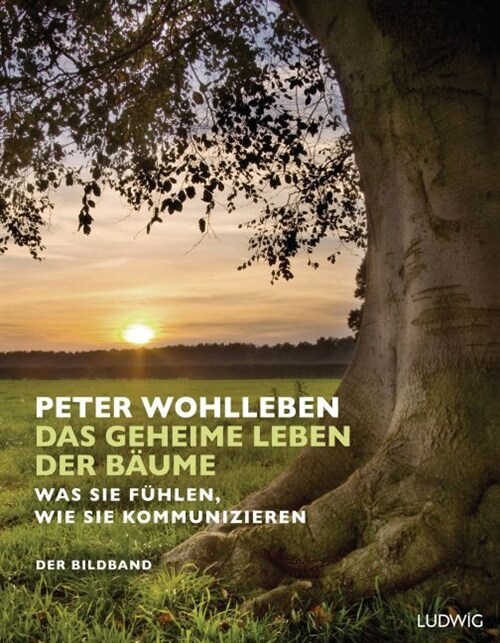 Das geheime Leben der Baume (Hardcover)