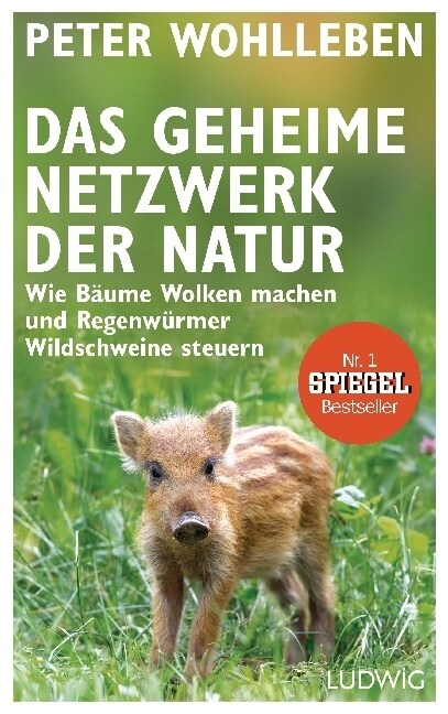 [중고] Das geheime Netzwerk der Natur (Hardcover)