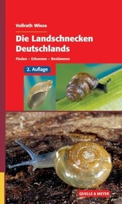 Die Landschnecken Deutschlands (Hardcover)