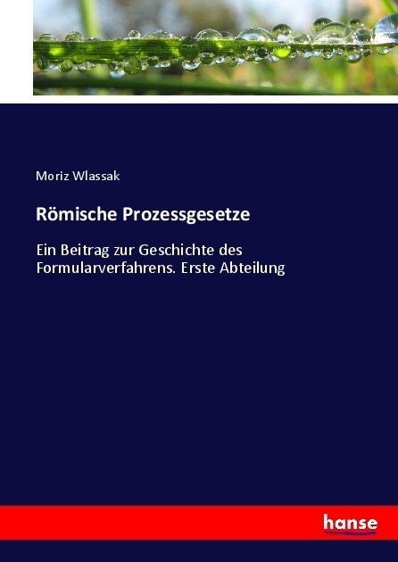 R?ische Prozessgesetze: Ein Beitrag zur Geschichte des Formularverfahrens. Erste Abteilung (Paperback)