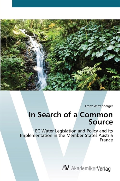 In Search of a Common Source (Paperback)