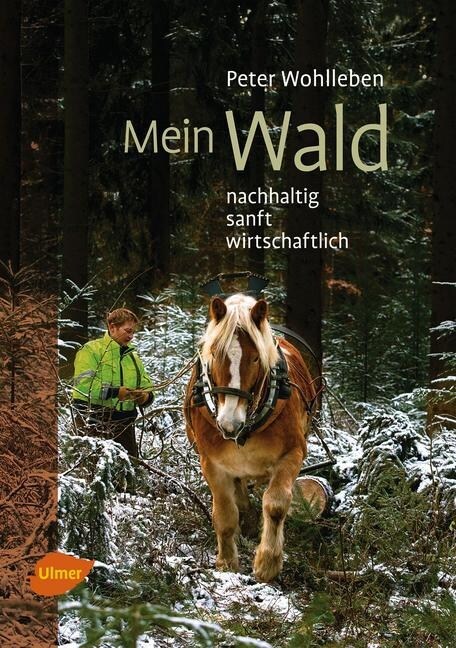 Mein Wald (Hardcover)