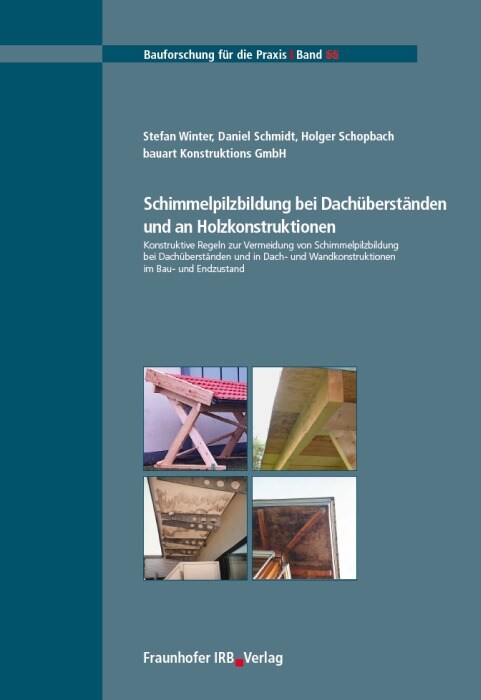 Schimmelpilzbildung bei Dachuberstanden und an Holzkonstruktionen (Paperback)