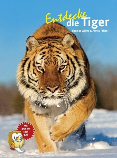 Entdecke die Tiger (Hardcover)