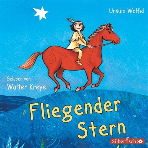 Fliegender Stern, 2 Audio-CDs (CD-Audio)