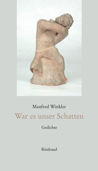 War es unser Schatten (Hardcover)