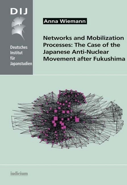 Networks and Mobilization Processes: The Case of the Japanese Anti-Nuclear Movement after Fukushima (Hardcover)