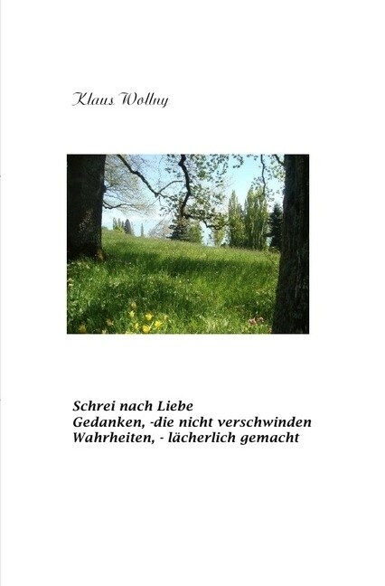 Schrei nach Liebe Gedanken, die nicht verschwinden Wahrheiten, - lacherlich gemacht (Paperback)