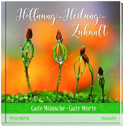 Hoffnung - Heilung - Zukunft (Hardcover)