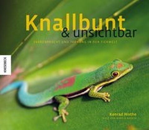 Knallbunt & unsichtbar (Hardcover)