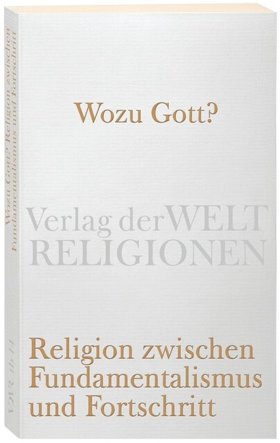 Wozu Gott？ Religion zwischen Fundamentalismus und Fortschritt (Paperback)