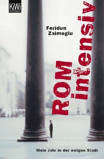 Rom intensiv (Paperback)