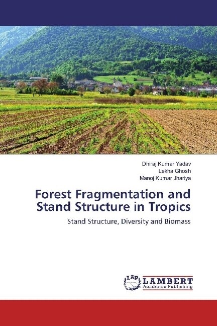 Forest Fragmentation and Stand Structure in Tropics (Paperback)