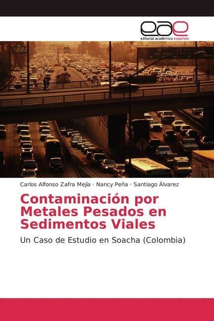 Contaminaci? por Metales Pesados en Sedimentos Viales (Paperback)