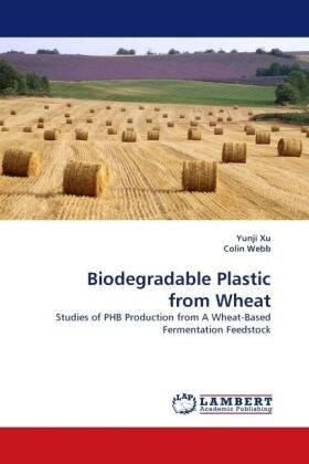 Biodegradable Plastic from Wheat (Paperback)