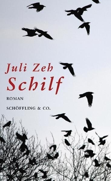 [중고] Schilf (Hardcover)