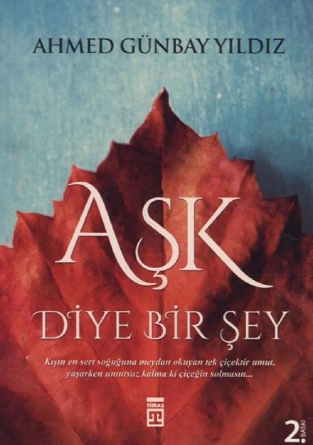 Ask Diye Bir Sey (Paperback)