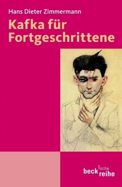 Kafka fur Fortgeschrittene (Paperback)