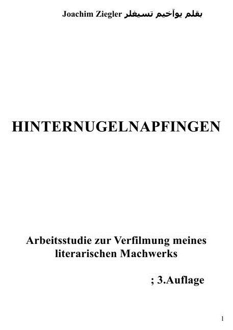 Hinternugelnapfingen Arbeitsstudie zur Verfilmung meines literarischen Machwerks; 2.Auflage (Paperback)