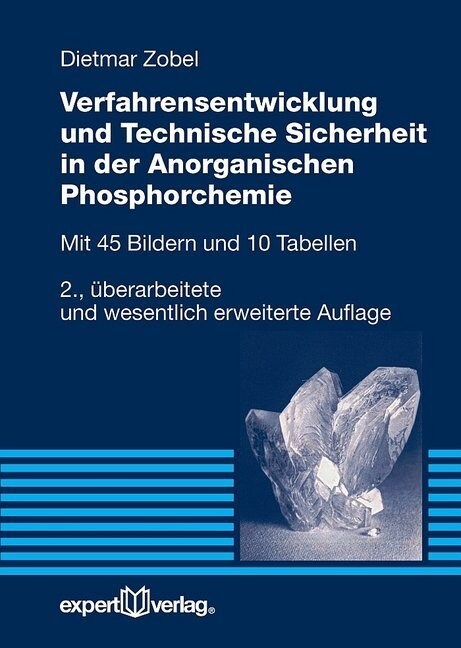Verfahrensentwicklung und Technische Sicherheit in der Anorganischen Phosphorchemie (Paperback)