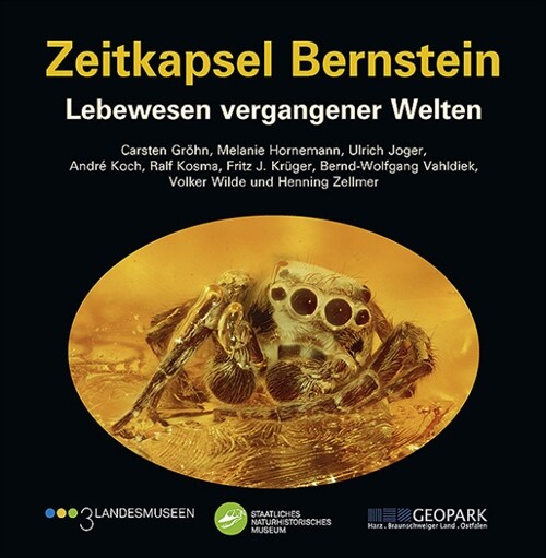 Zeitkapsel Bernstein (Paperback)