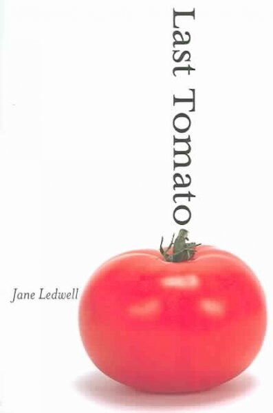 Last Tomato (Paperback)