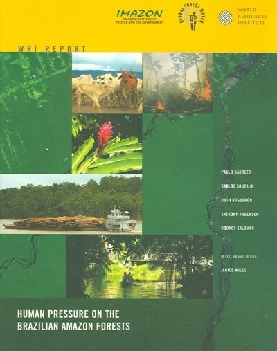 Human Pressure on the Brazilian Amazon Forests (Paperback)