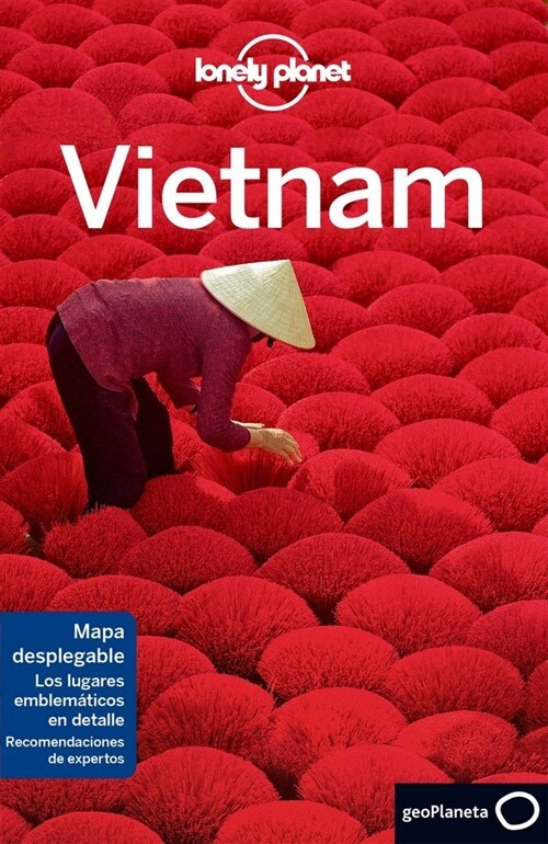 Lonely Planet Vietnam (Paperback, 8th)