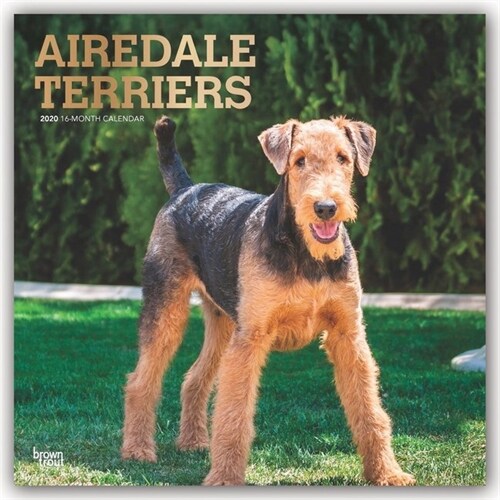 Airedale Terriers 2020 Square Foil (Other)