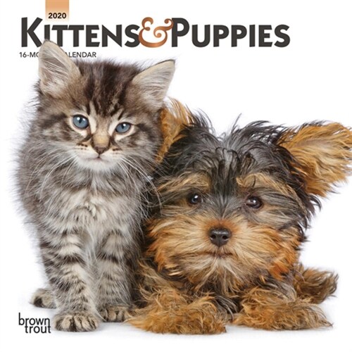 Kittens & Puppies 2020 Mini 7x7 (Other)