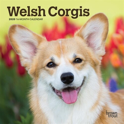 Welsh Corgis 2020 Mini 7x7 (Other)