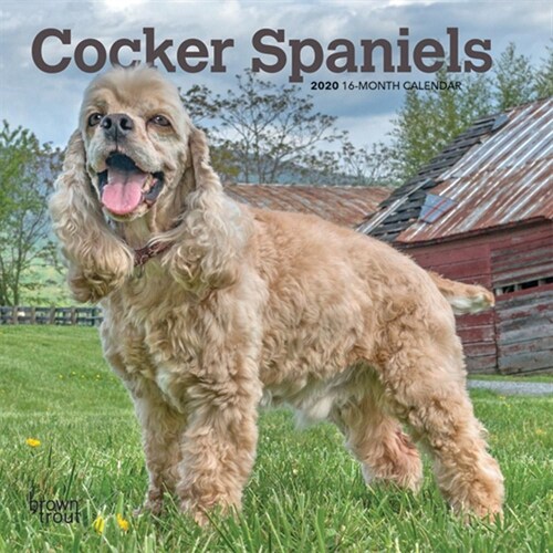 Cocker Spaniels 2020 Mini 7x7 (Other)