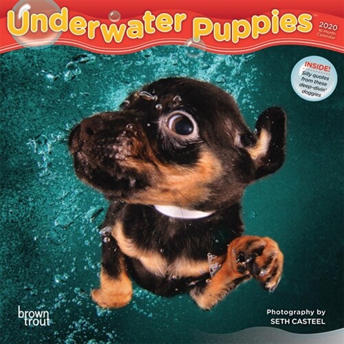 Underwater Puppies 2020 Mini 7x7 (Other)